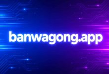 banwagong.app 是什么？新手也能轻松上手的搬瓦工 VPS 网页管理面板介绍 2026-搬瓦工中文笔记